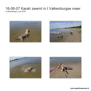 Karah zwemt in t Valkenburgse Meer